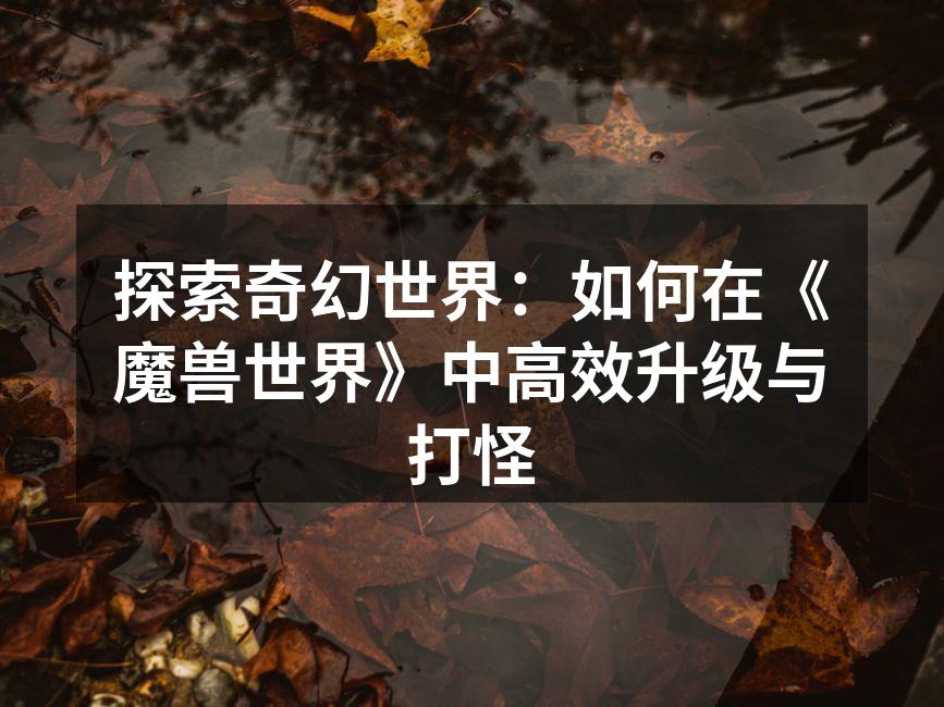 探索奇幻世界：如何在《魔兽世界》中高效升级与打怪